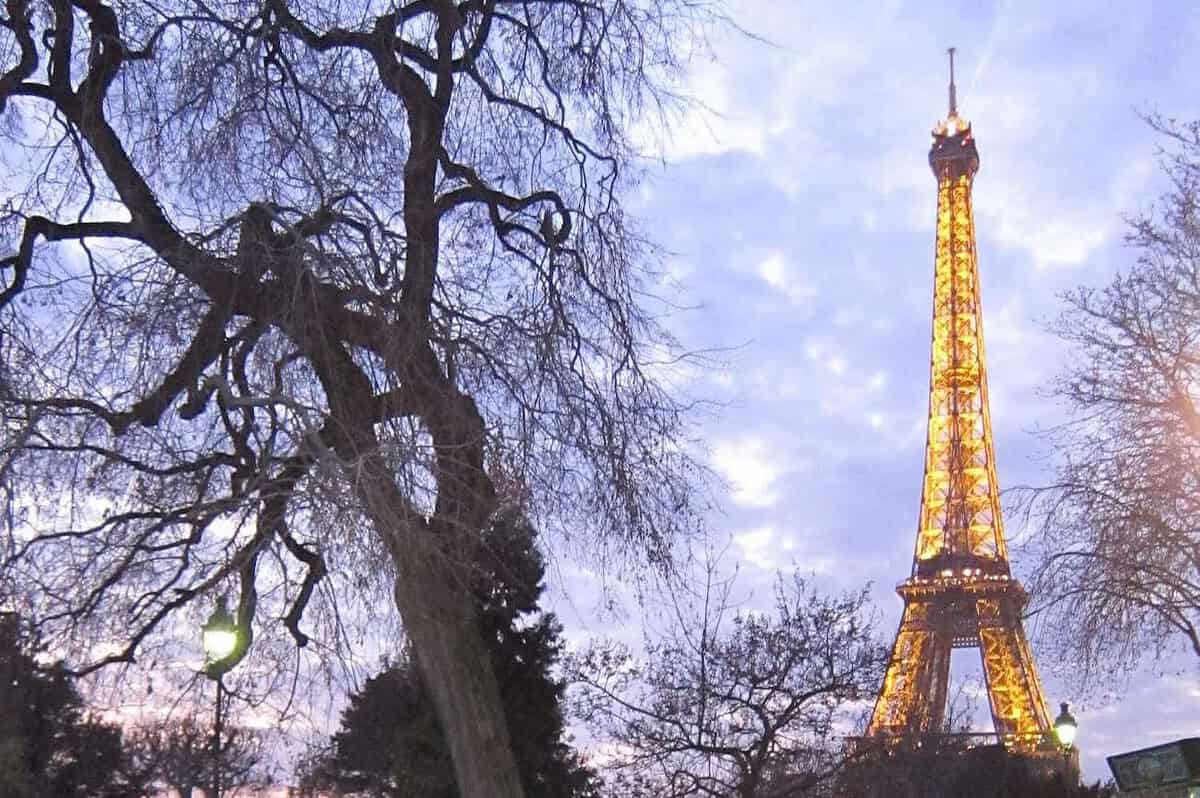 The Eiffel Tower brightly lit against a twilight sky is a magical sight, perfect for enjoying Paris with kids. Silhouetted trees frame the scene while a bare-branched tree in the foreground contrasts with the softly glowing tower, creating an enchanting family-friendly view.