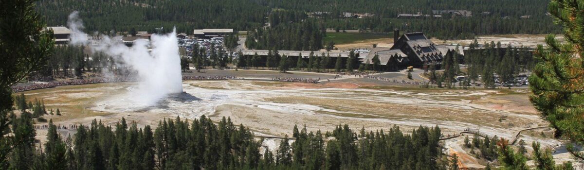 A scenic view of Old Faithful geyser in Yellowstone National Park, with a plume of steam rising amidst a vast landscape. Surrounding buildings and dense forests are visible in the background, under a clear blue sky.