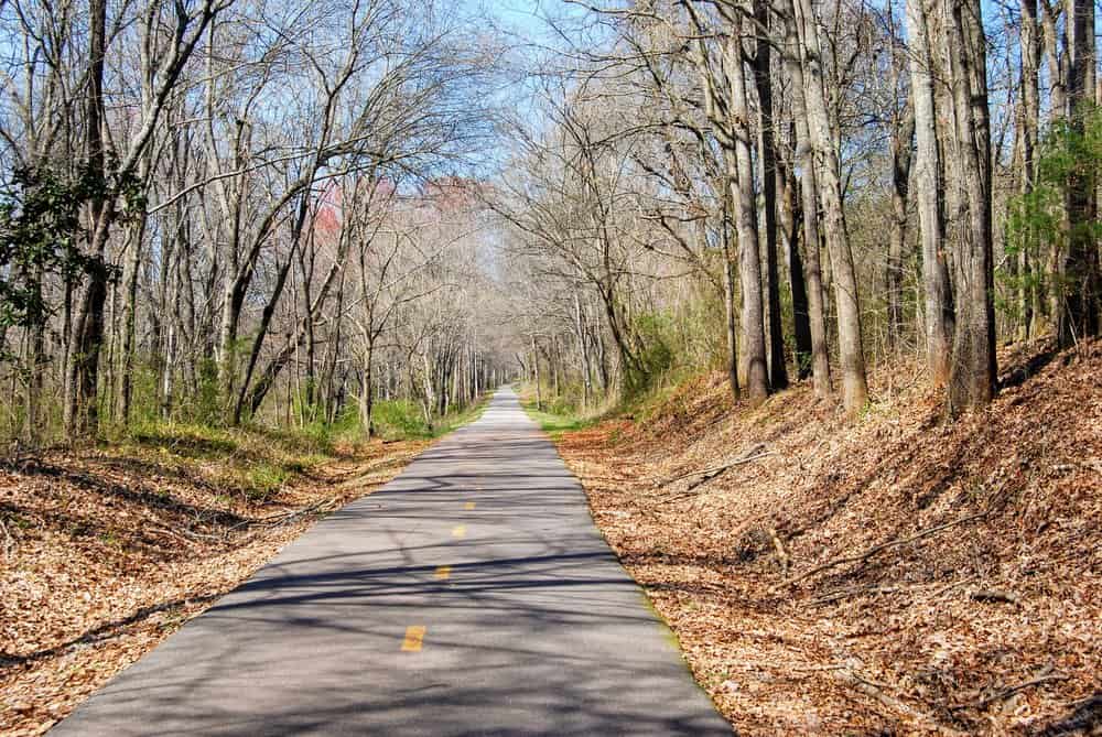 A paved path runs through a forest, flanked by bare trees and leaves scattered on the ground. The sky is clear, indicating a crisp, sunny day, and the straight path extends into the distance, surrounded by nature.