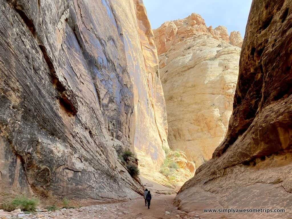 A hiker navigates a narrow canyon in Capitol Reef National Park, where towering rock walls reach skyward. Sunlight illuminates the rugged terrain, highlighting the rock's textures and colors. Sparse vegetation lines the path, offering one of many captivating things to do in this stunning park.