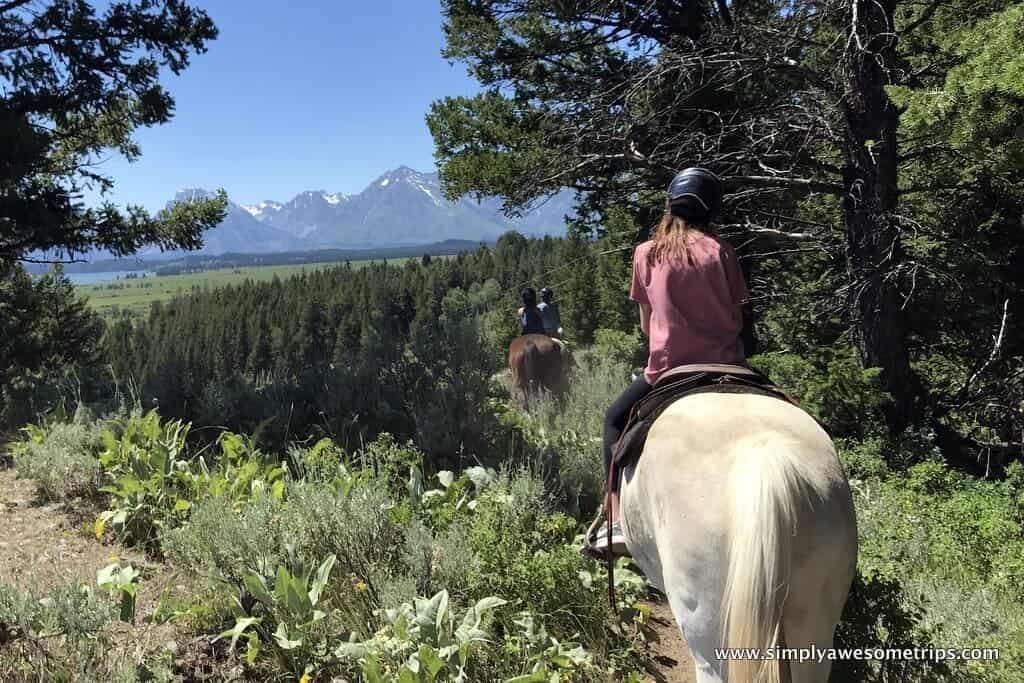 Two people riding horses along a lush, tree-lined trail with scenic mountains in the background. The riders are wearing casual clothes and helmets, enjoying a sunny day. The setting is tranquil and showcases the beauty of nature.