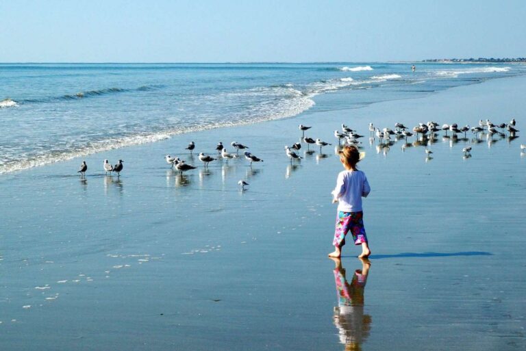 A young child in colorful pants and a white shirt walks barefoot on a sandy beach, approaching a flock of seagulls by the shore. The sky is clear, and gentle waves roll in from the blue ocean under the bright sunlight.