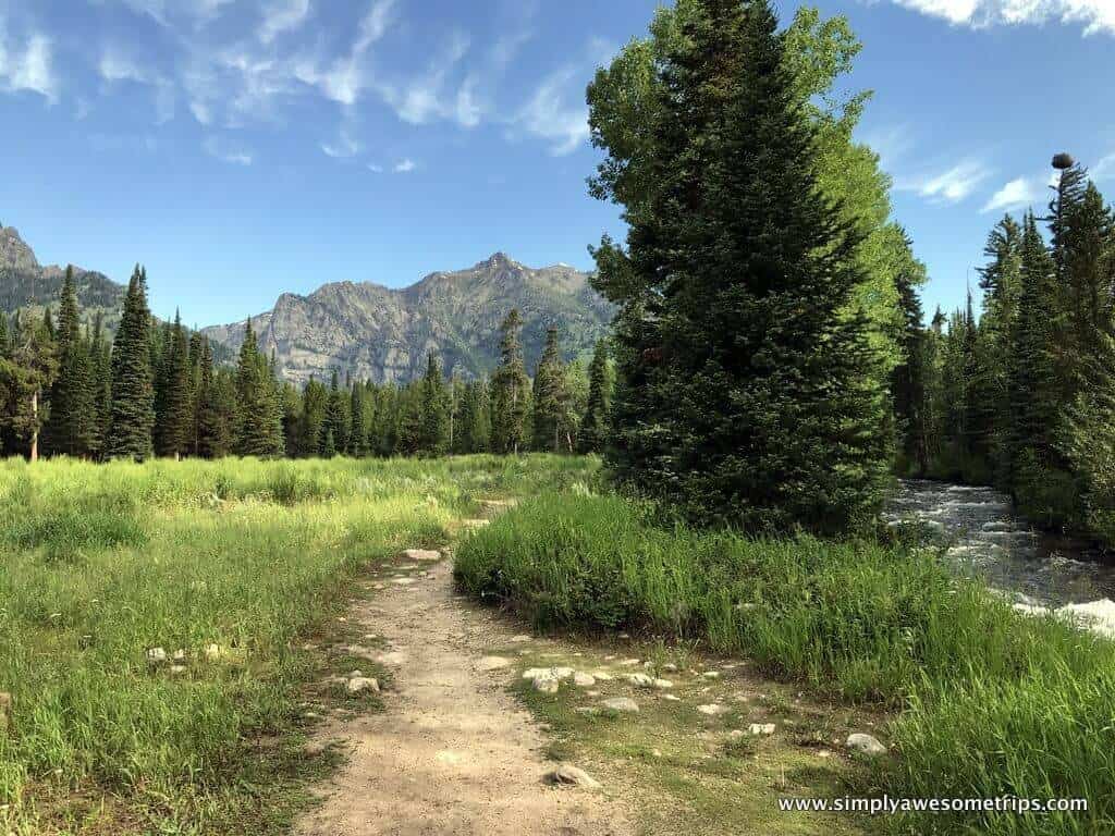 A scenic hiking trail winds through a lush green forest, bordered by a gentle river on the right. Tall trees frame the pathway, with distant mountains under a blue sky with wispy clouds.