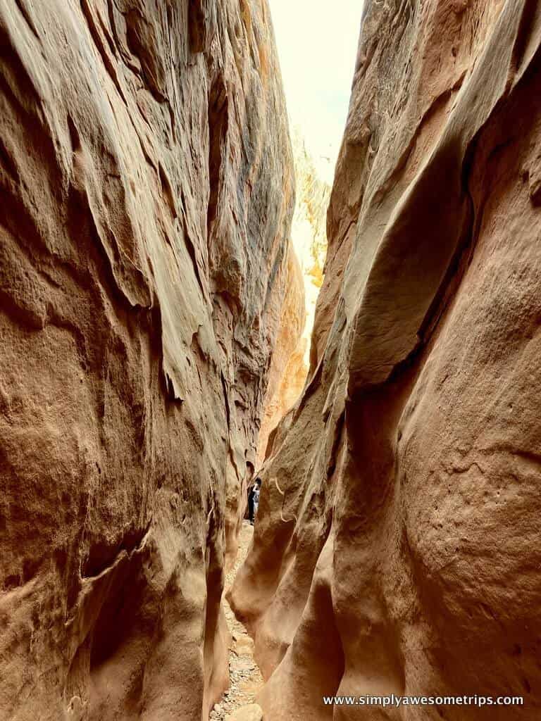A narrow slot canyon with towering, smooth, reddish rock walls awaits exploration. A person is visible in the distance walking through, highlighting the canyon's impressive height and tight passageway—a must-see among things to do in Capitol Reef National Park. The sky is bright at the top opening.