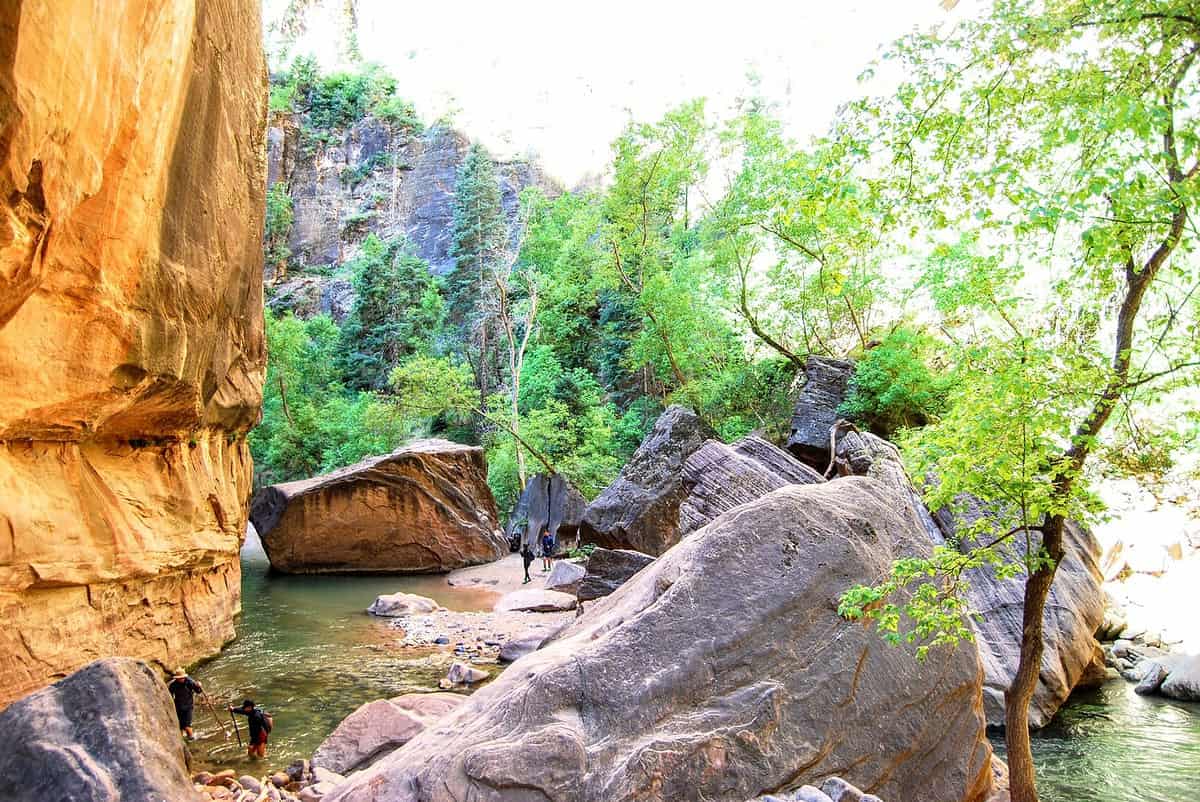 A scenic view of hikers walking through a narrow canyon with towering cliffs and lush greenery, reminiscent of a spring break adventure. The group crosses a shallow creek surrounded by large, smooth rocks. Sunlight filters through the trees, creating a tranquil and inviting atmosphere.