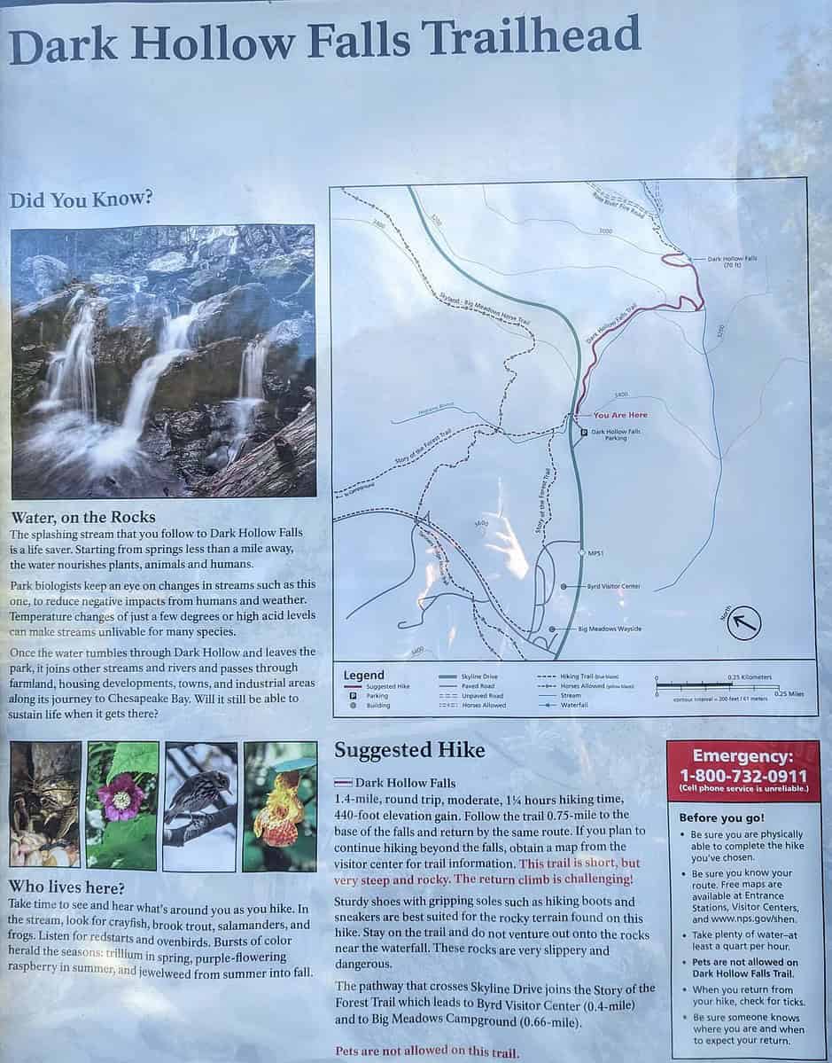 Informational poster for Dark Hollow Falls Trailhead. Features details about the waterfall, a map of the hiking trail, tips for the suggested hike, safety information, and a note about local wildlife and geology.