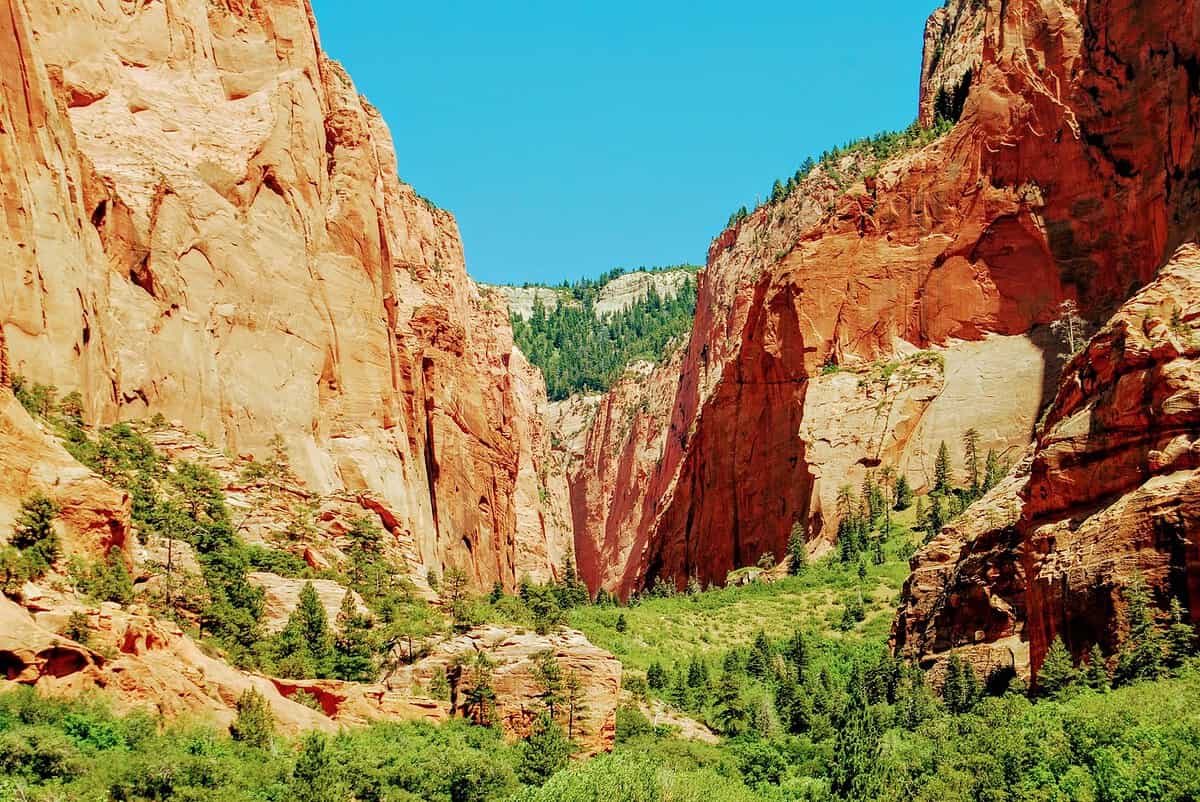 A stunning view of a canyon with towering red rock walls under a bright blue sky mirrors the adventure of biking the swamp rabbit trail. Green vegetation fills the canyon floor, adding contrast to the rugged, sunlit cliffs, much like nature's vibrant embrace along the scenic trail.