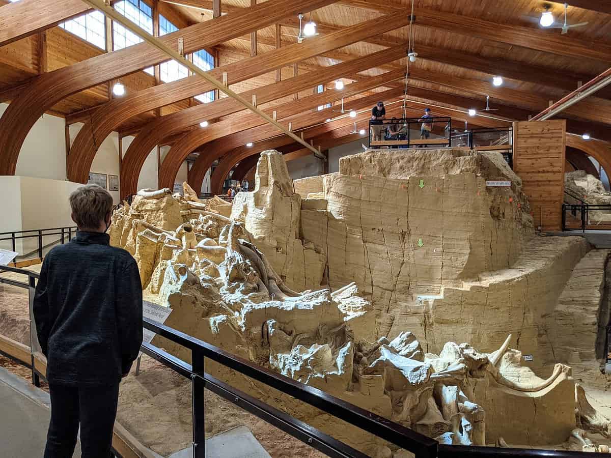 A person observes a large indoor excavation site with layered rock formations and fossils. The wooden ceiling and bright lights illuminate the scene. Elevated walkways allow closer viewing of the natural exhibits.