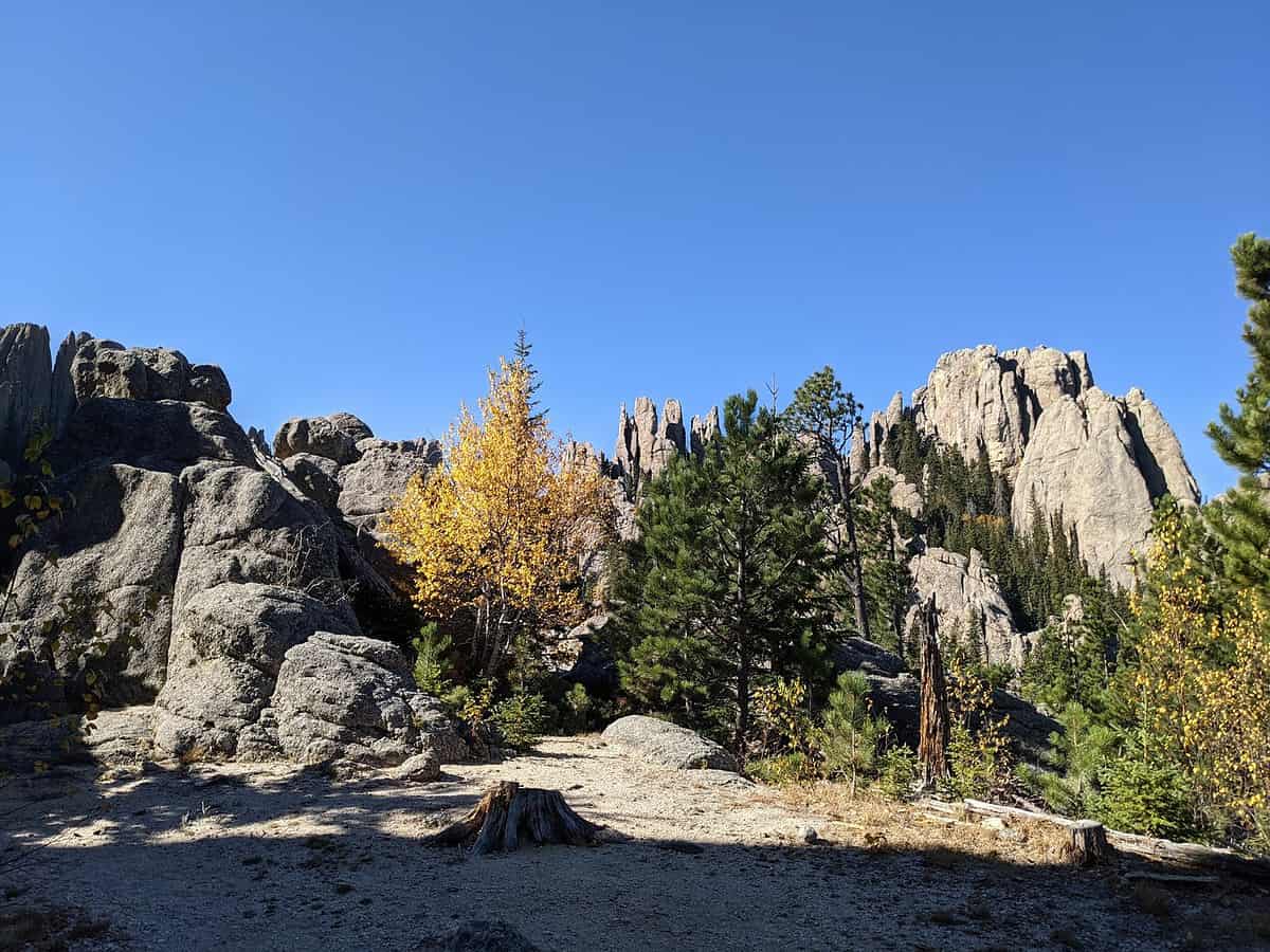 Rocky landscape with tall, jagged formations under a clear blue sky. Yellow and green trees are scattered among the rocks, and the foreground features a sandy, open area with a few tree stumps.