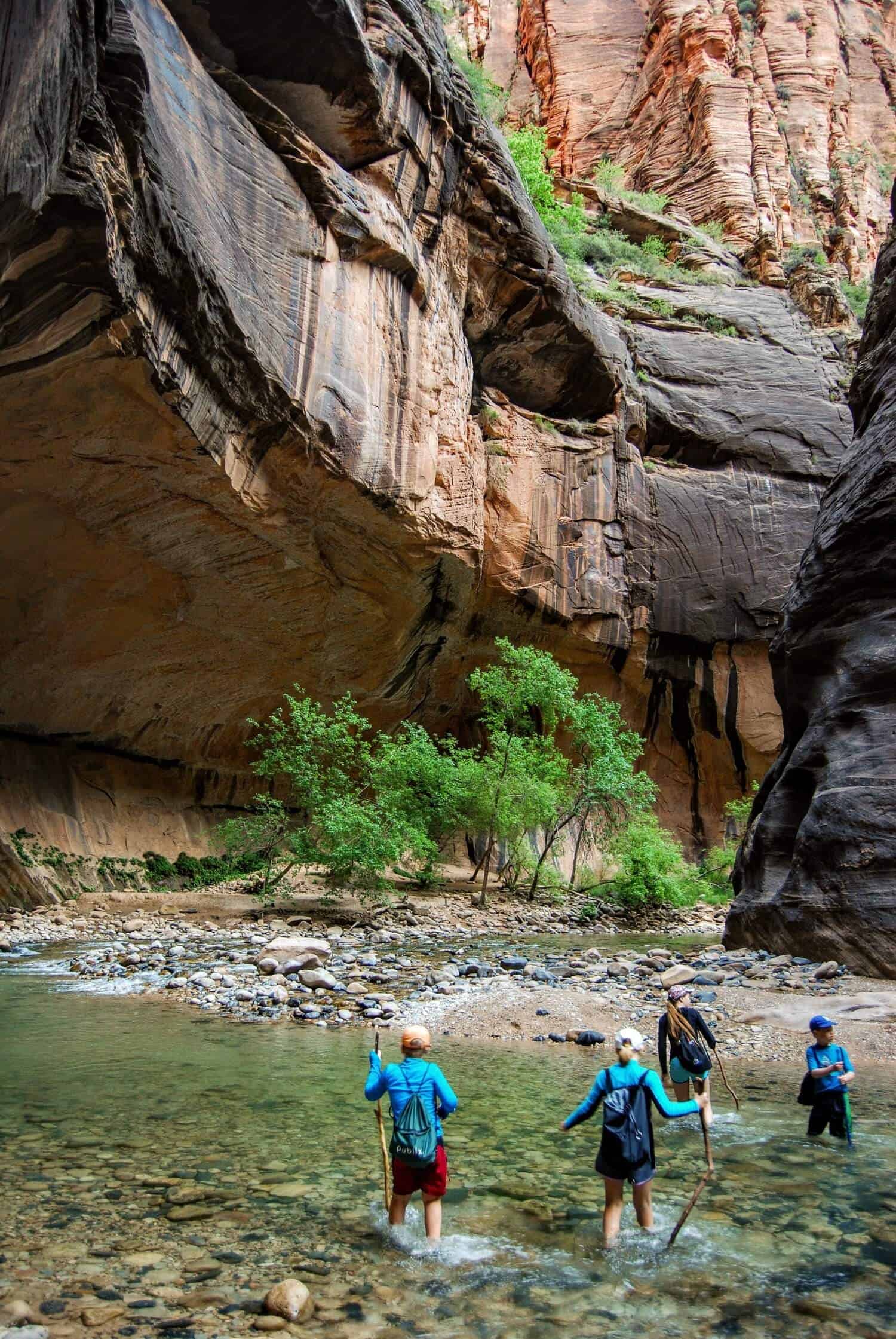 Three people wade through a shallow river in a canyon. They carry walking sticks and wear backpacks. Towering rock walls and lush green trees surround them. Bright sunlight highlights the canyon's textures and colors.
