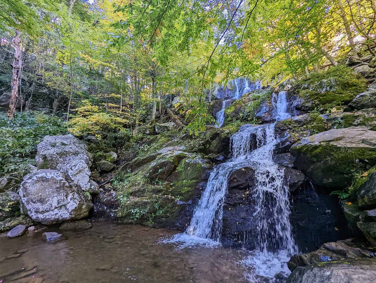 A serene waterfall cascades over moss-covered rocks surrounded by lush green and yellow foliage in a forest setting. A small pool forms at the base, reflecting the vibrant hues of the trees above.