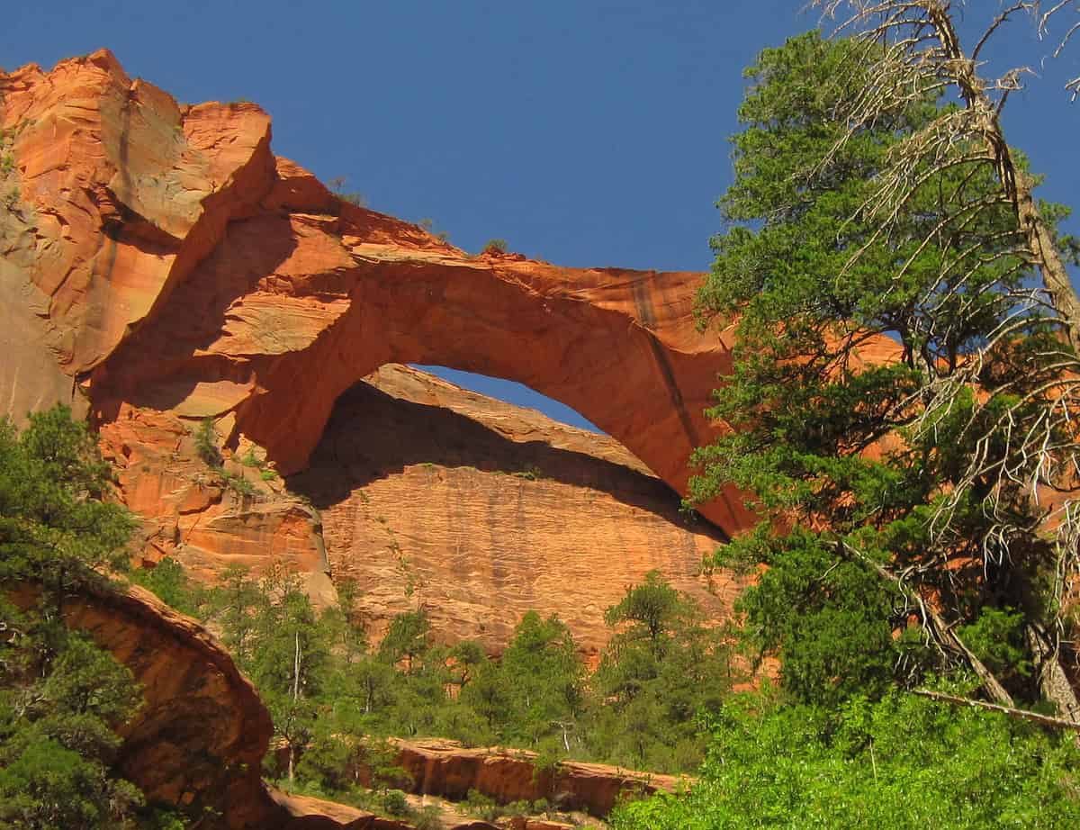 A stunning natural rock arch towers against a clear blue sky, surrounded by rugged red rock formations and lush green trees. The vibrant landscape calls to adventurers biking the Swamp Rabbit Trail, where families can enjoy both exhilarating paths and nature’s beauty.