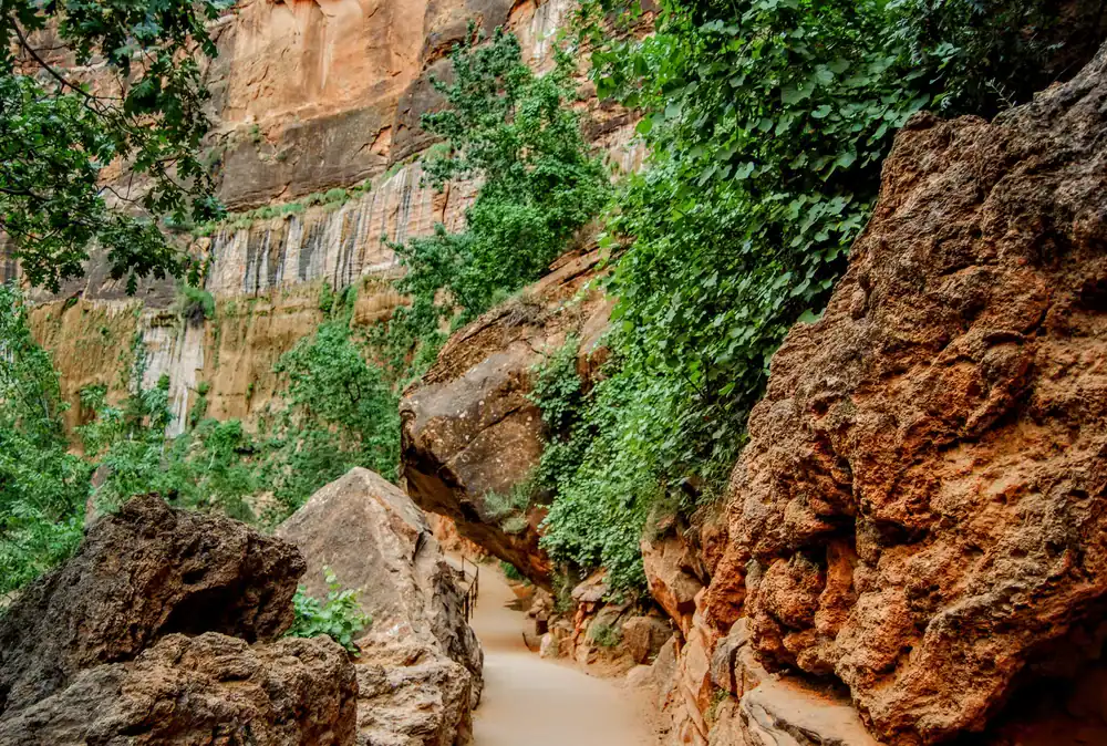 A narrow dirt trail winds through large orange rocks and green shrubs, with a steep cliff face visible in the background.