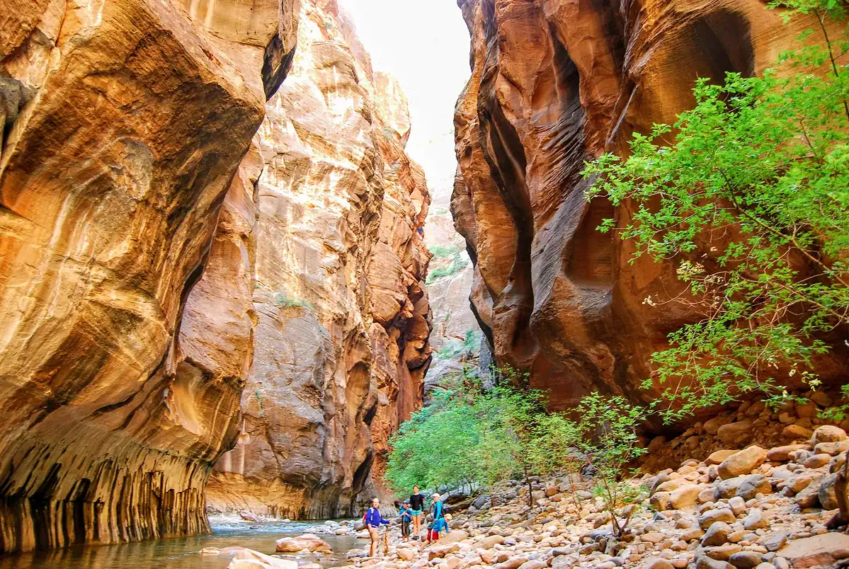 People stand by a shallow river between towering red canyon walls, with green trees and rocks along the banks under a bright sky.