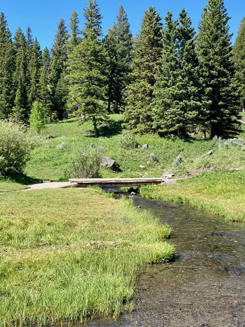 A clear stream flows through a grassy area with a small wooden footbridge, surrounded by tall pine trees and green hills under a bright blue sky.