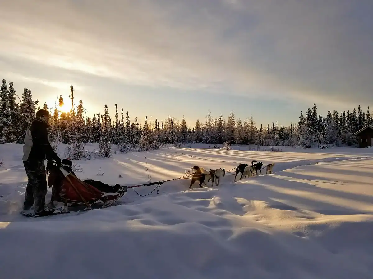 A person rides a dog sled pulled by six dogs across a snowy landscape at sunrise, surrounded by snow-covered trees and a small cabin in the distance.