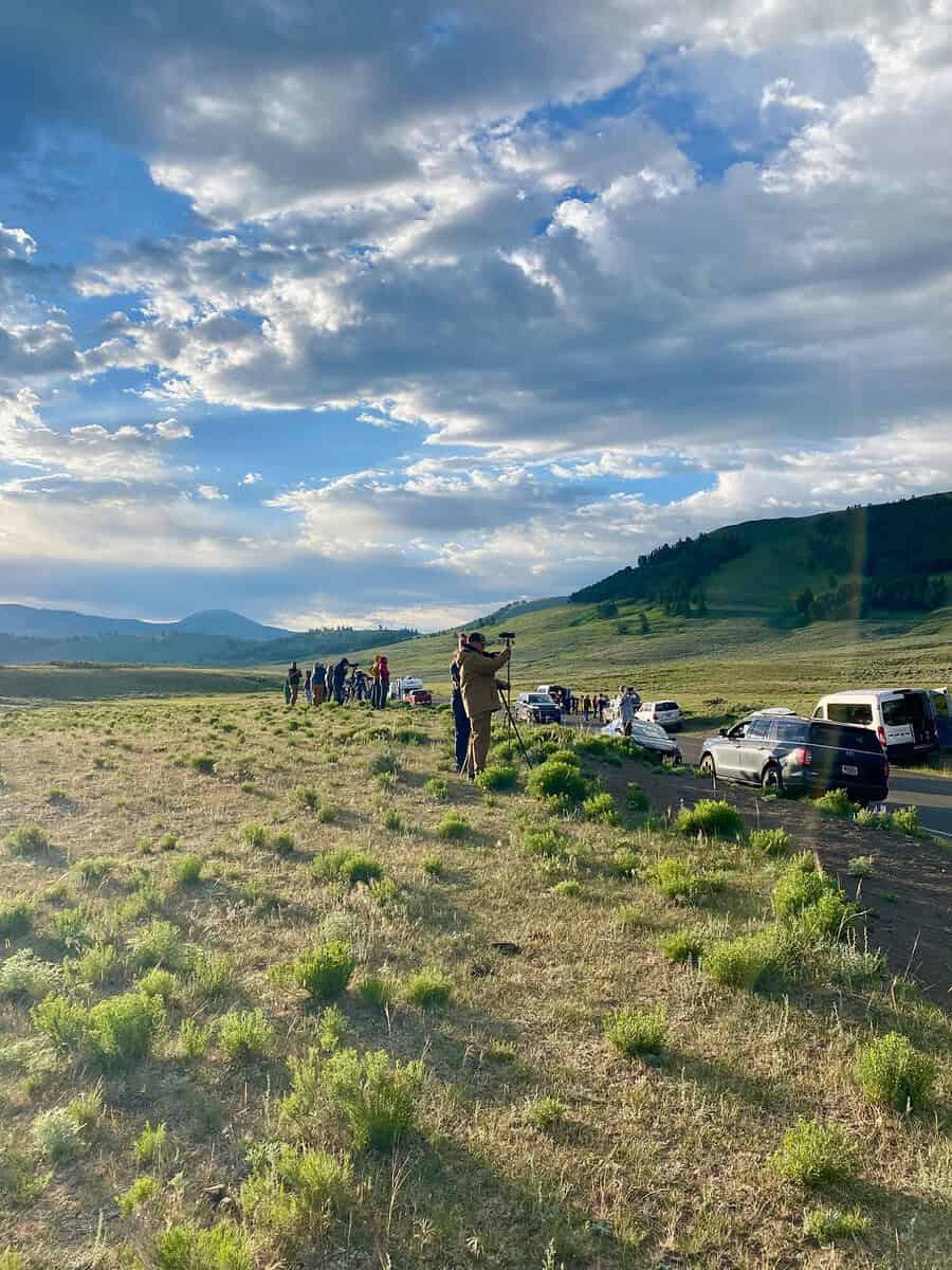 People with cameras and tripods stand by a road lined with parked cars, overlooking a scenic valley with rolling hills under a partly cloudy sky.