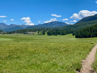 A grassy meadow with a dirt path, bordered by green trees and distant mountains under a blue sky with scattered white clouds.