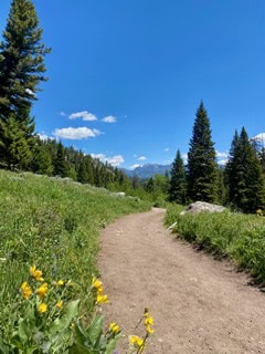 A dirt trail winds through green grass and yellow wildflowers, surrounded by pine trees under a bright blue sky with scattered clouds. Mountains are visible in the distance.
