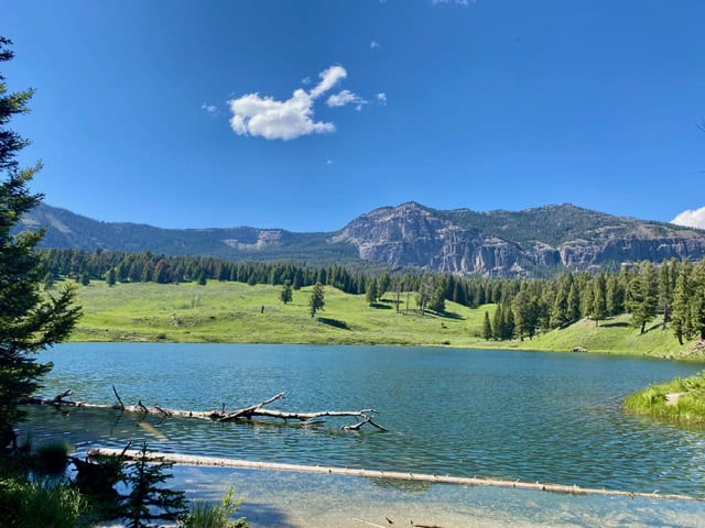 A clear blue lake with fallen trees along the shore, surrounded by green grassy hills, dense pine forests, and distant rocky mountains under a bright, sunny sky with one small white cloud.