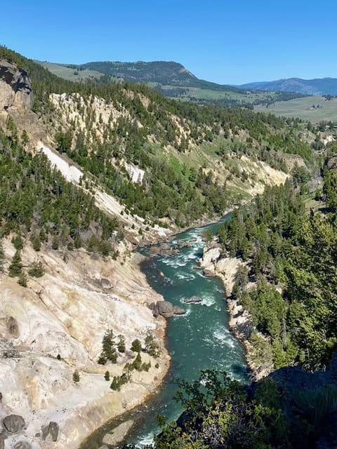 A turquoise river flows through a rocky canyon with pine-covered hills and mountains under a clear blue sky.