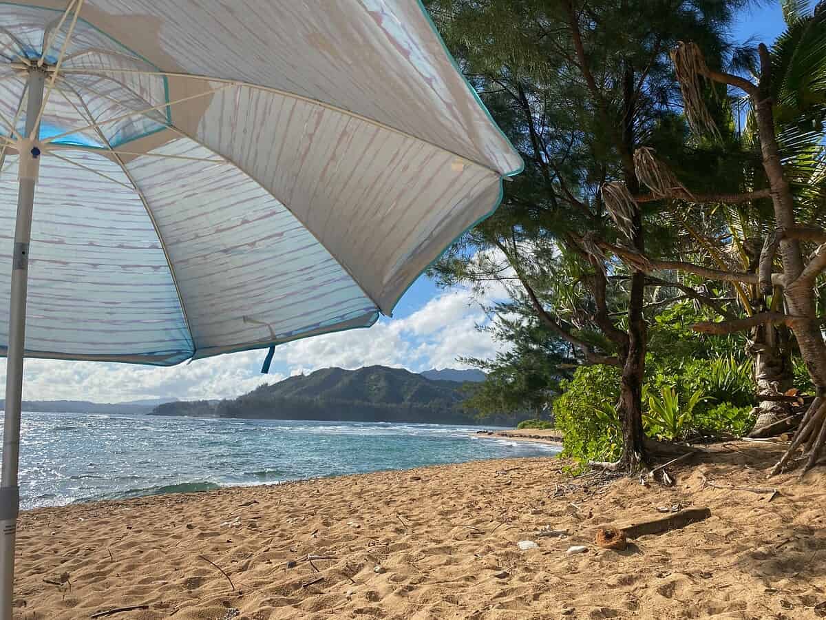 A large beach umbrella provides shade on a sandy beach with lush green trees and plants nearby. Ocean waves roll in, and mountains are visible in the distance under a partly cloudy sky.