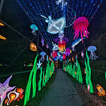 A pathway decorated with glowing, colorful lanterns shaped like sea creatures, including jellyfish, rays, and fish, with green seaweed lights on each side and blue string lights overhead, creating an underwater effect at night.
